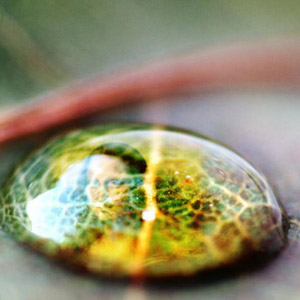 Inside A Water Drop