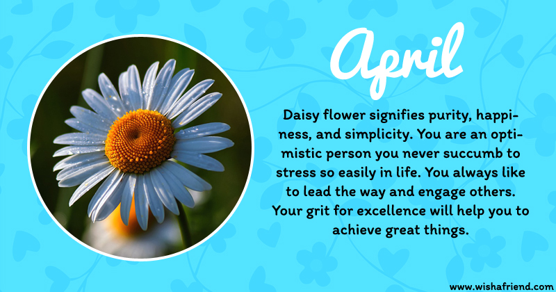 your-birth-flower-is-april