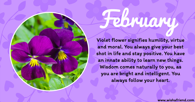 Your Birth Flower is February