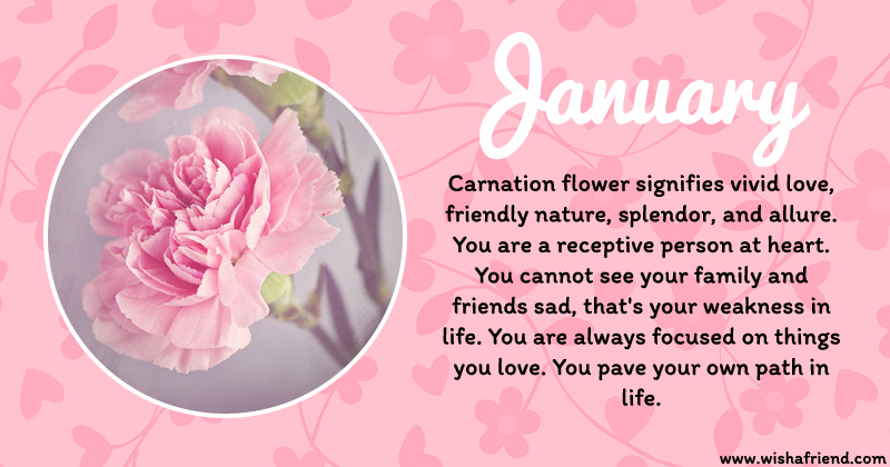 Your Birth Flower Is January