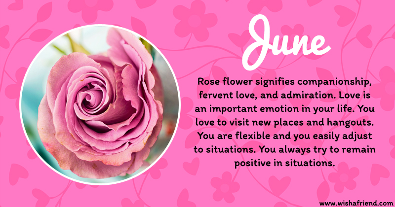 your-birth-flower-is-june