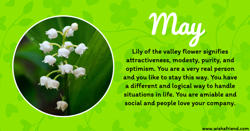 Your Birth Flower Is May