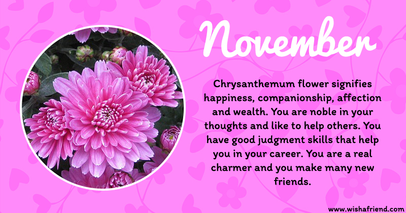 Your Birth Flower is November