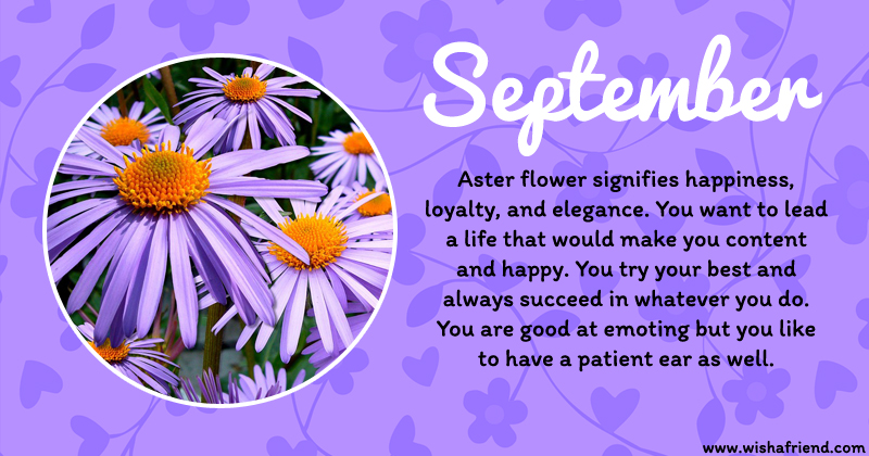 your-birth-flower-is-september