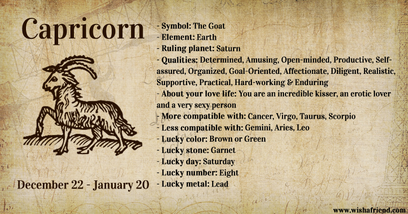 capricorn horoscope personality