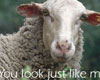 Myspace Picture Captions Graphics