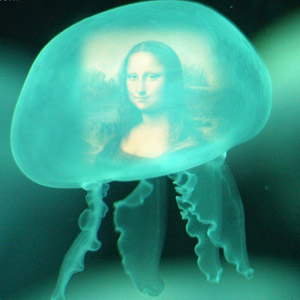 Blue Water Jelly Fish