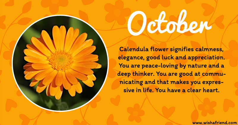 Your Birth Flower Is October