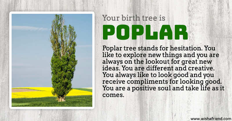 Your Birth Tree Poplar Tree