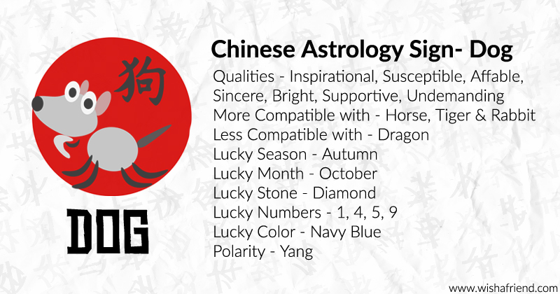 Your Chinese Zodiac Profile Dog