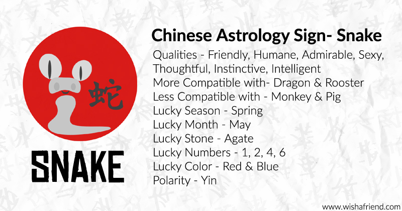 chinese zodiac snake symbol