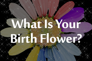 Birth Flower