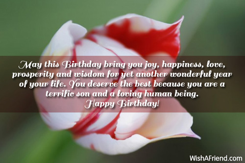 son-birthday-wishes-1025