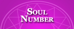 Soul Number