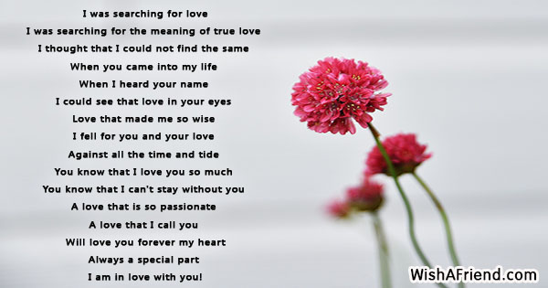I was searching for love , True Love Poem