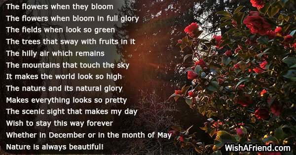 nature-poems-20471