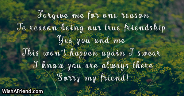 I Am Sorry Messages For Friends