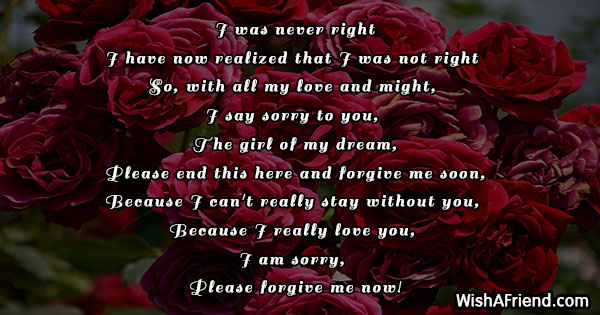 im sorry poems for her